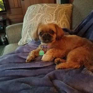 Meet your Posher, Donna